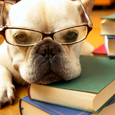 Picture for category Books